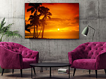 Obraz Horúce slnko za palmami